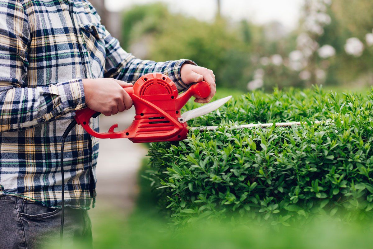 Man Mows Shrubs with Electric Trimmer — El Paso, TX — Daniel's Tree & Landscaping, Inc.