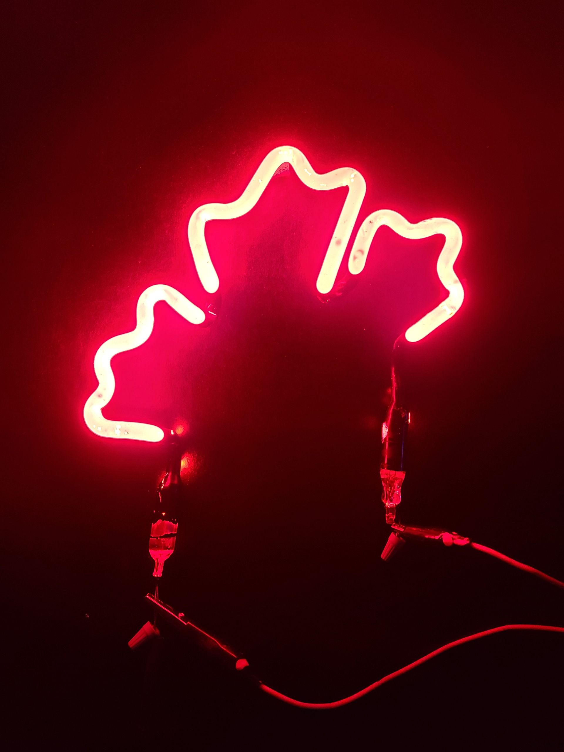 Labatt Blue Maple Leaf