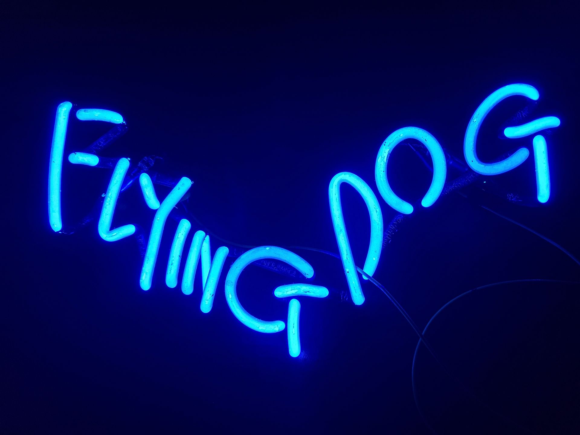 Flying Dog