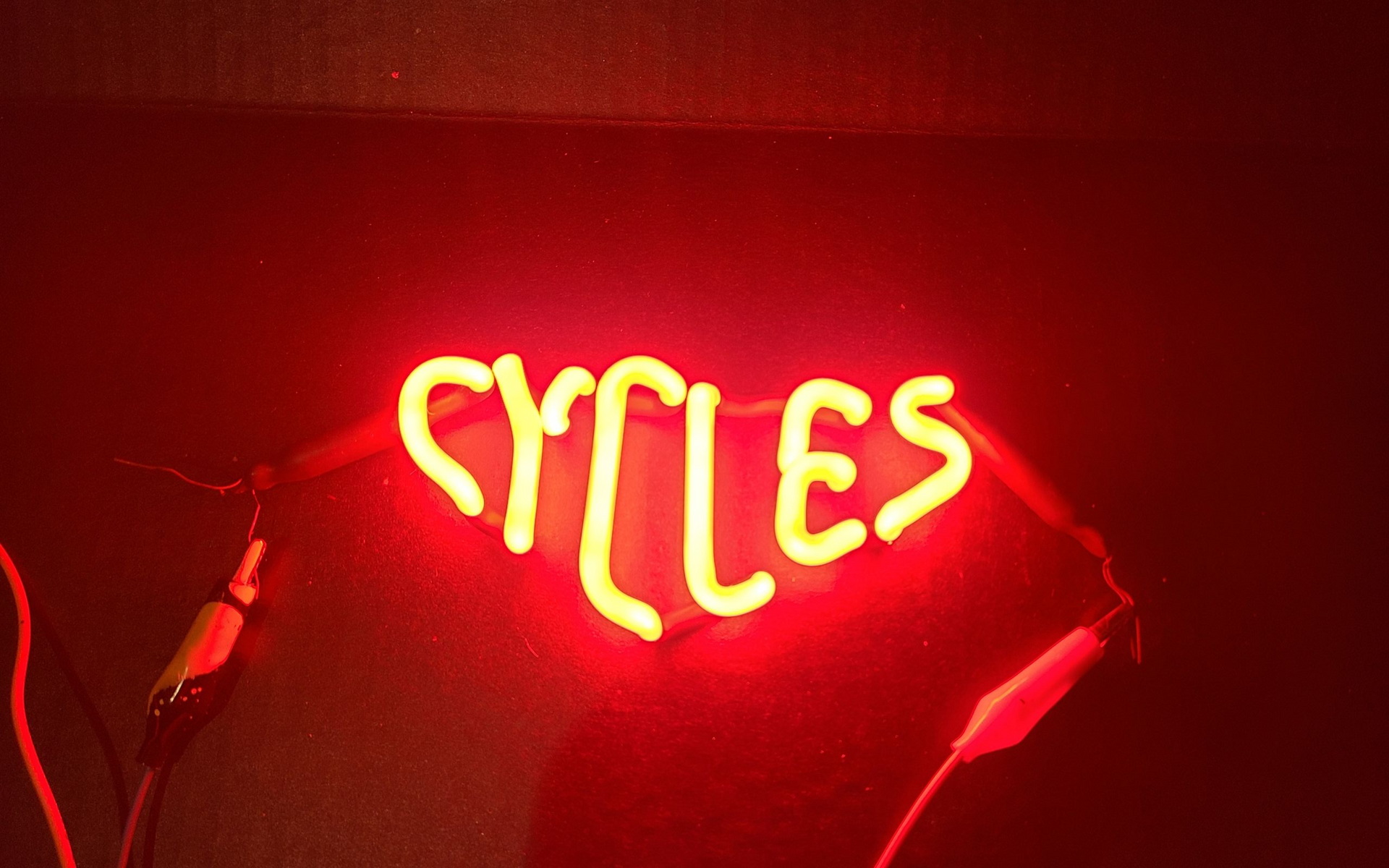 harley davidson-Cycles