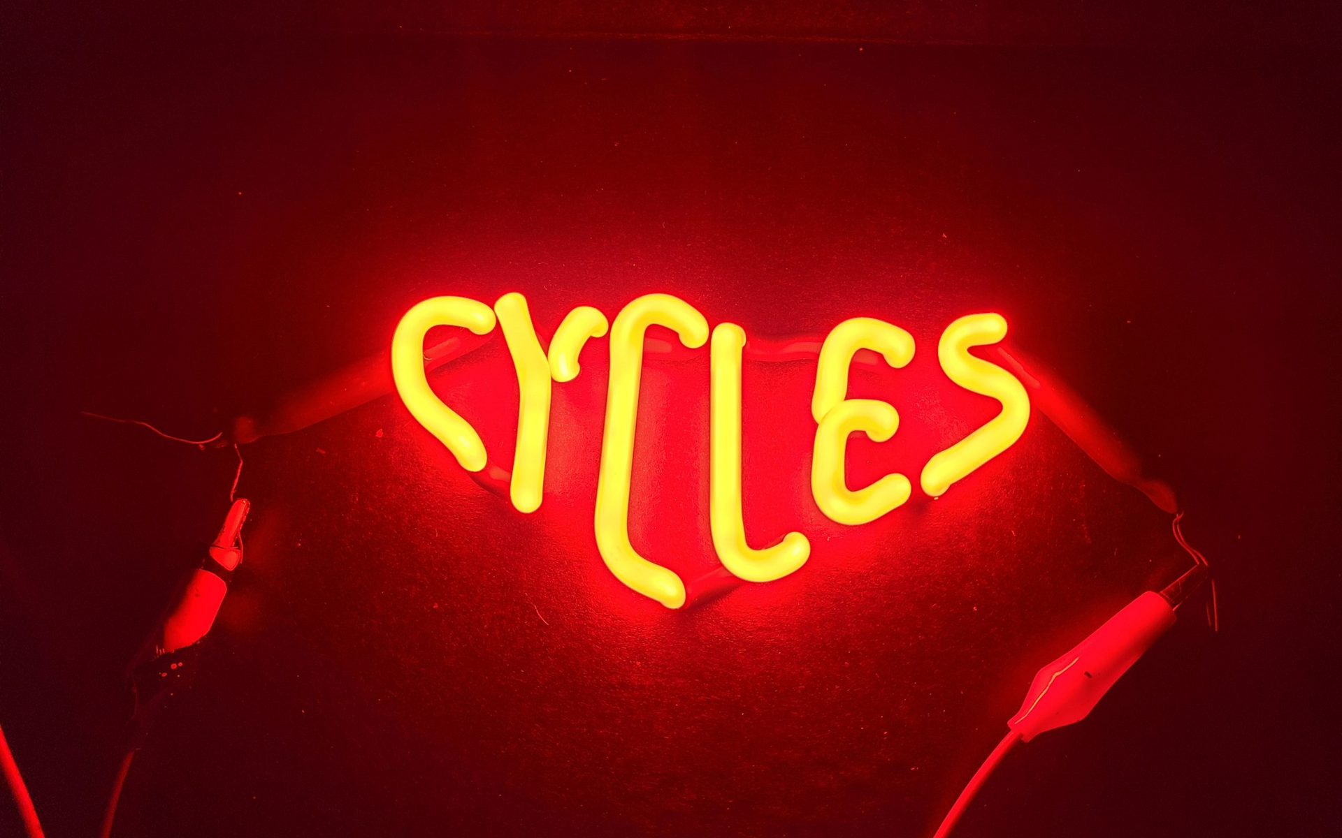 harley davidson-Cycles