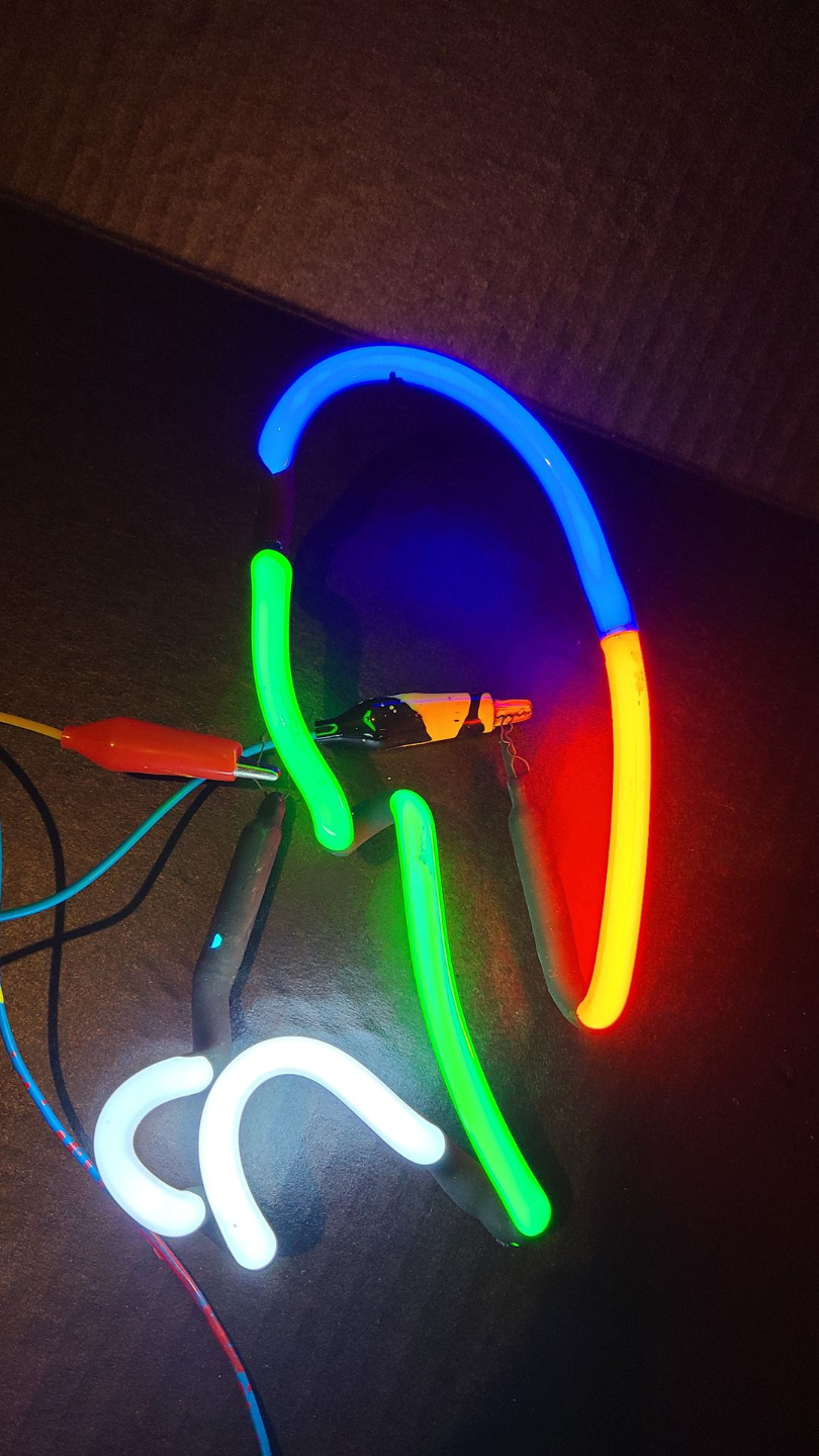 Corona parrot shoulder