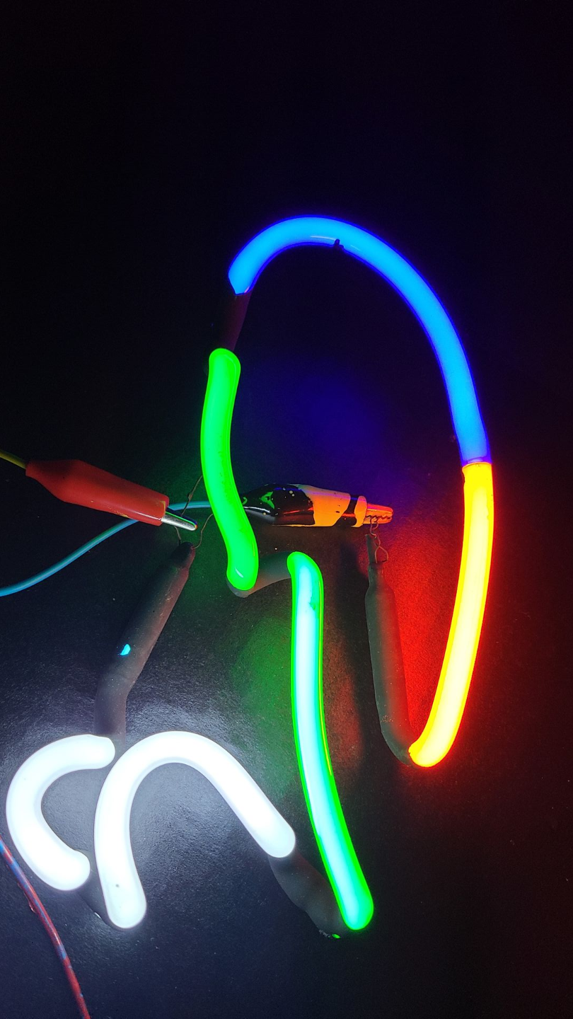 Corona parrot shoulder