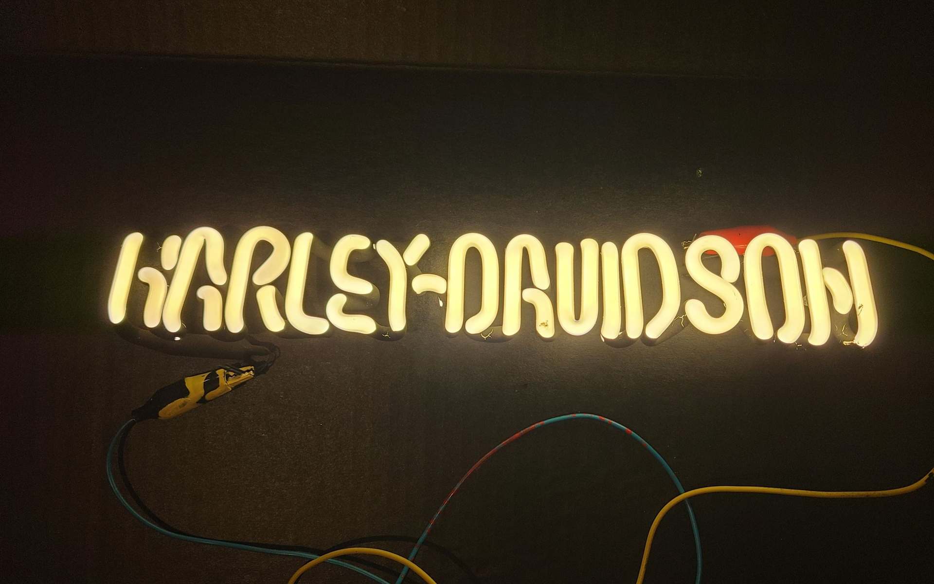 Harley Davidson Large