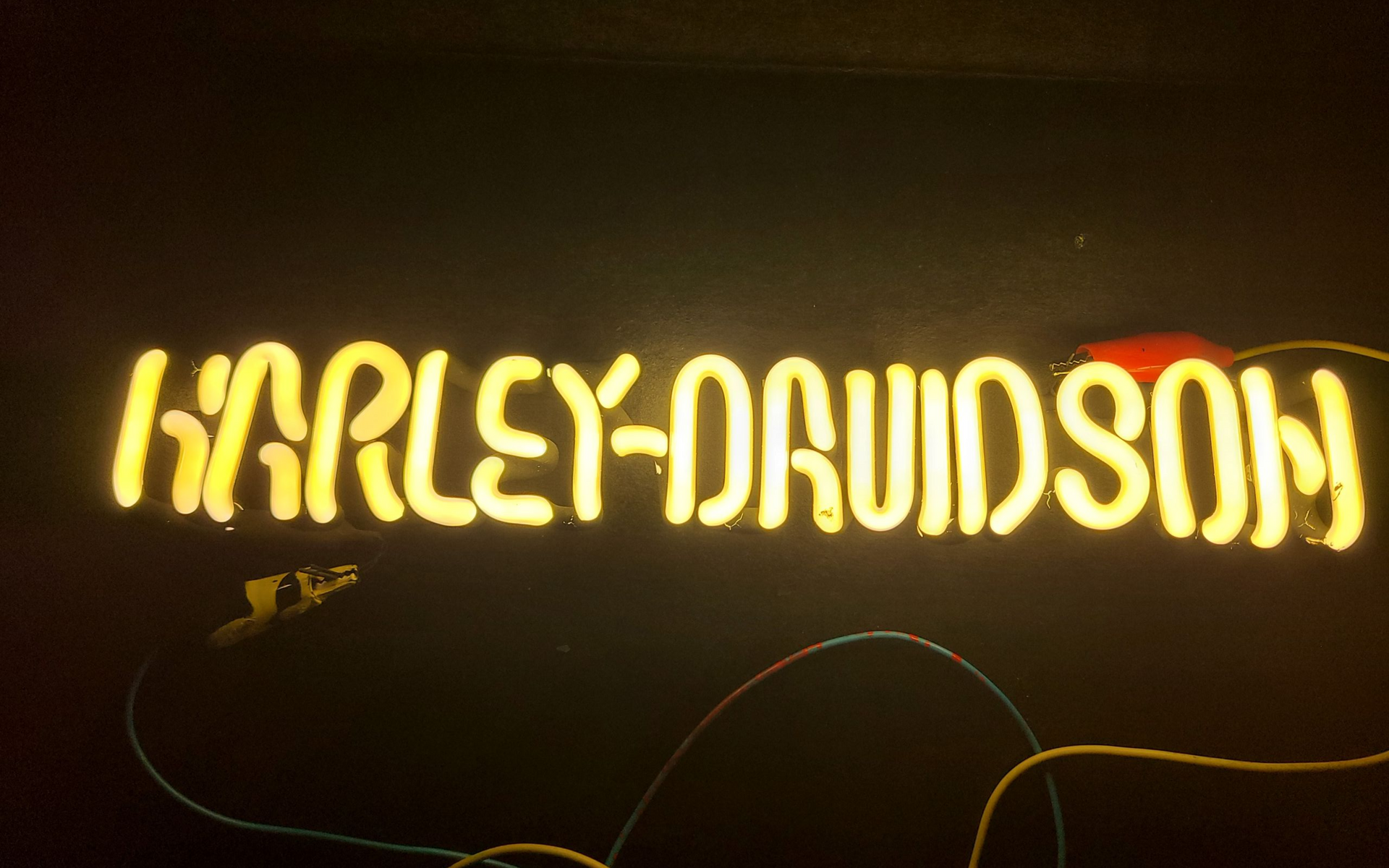 Harley Davidson Large