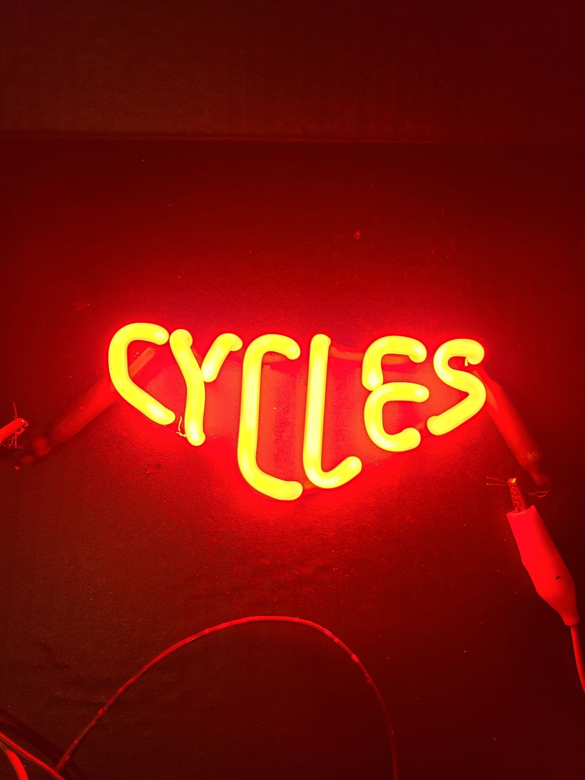 Harley- Davison Cyles