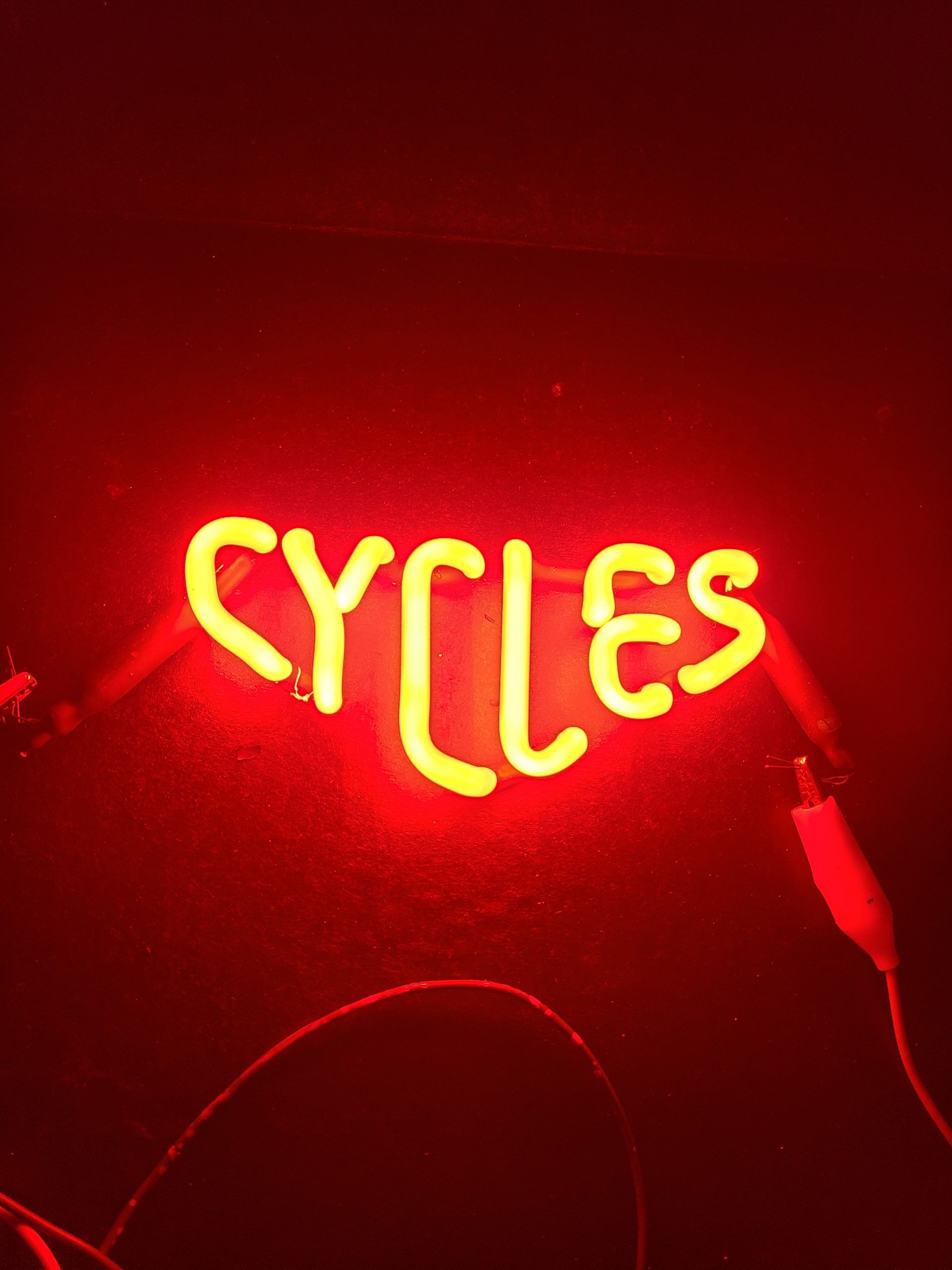 Harley- Davison Cyles