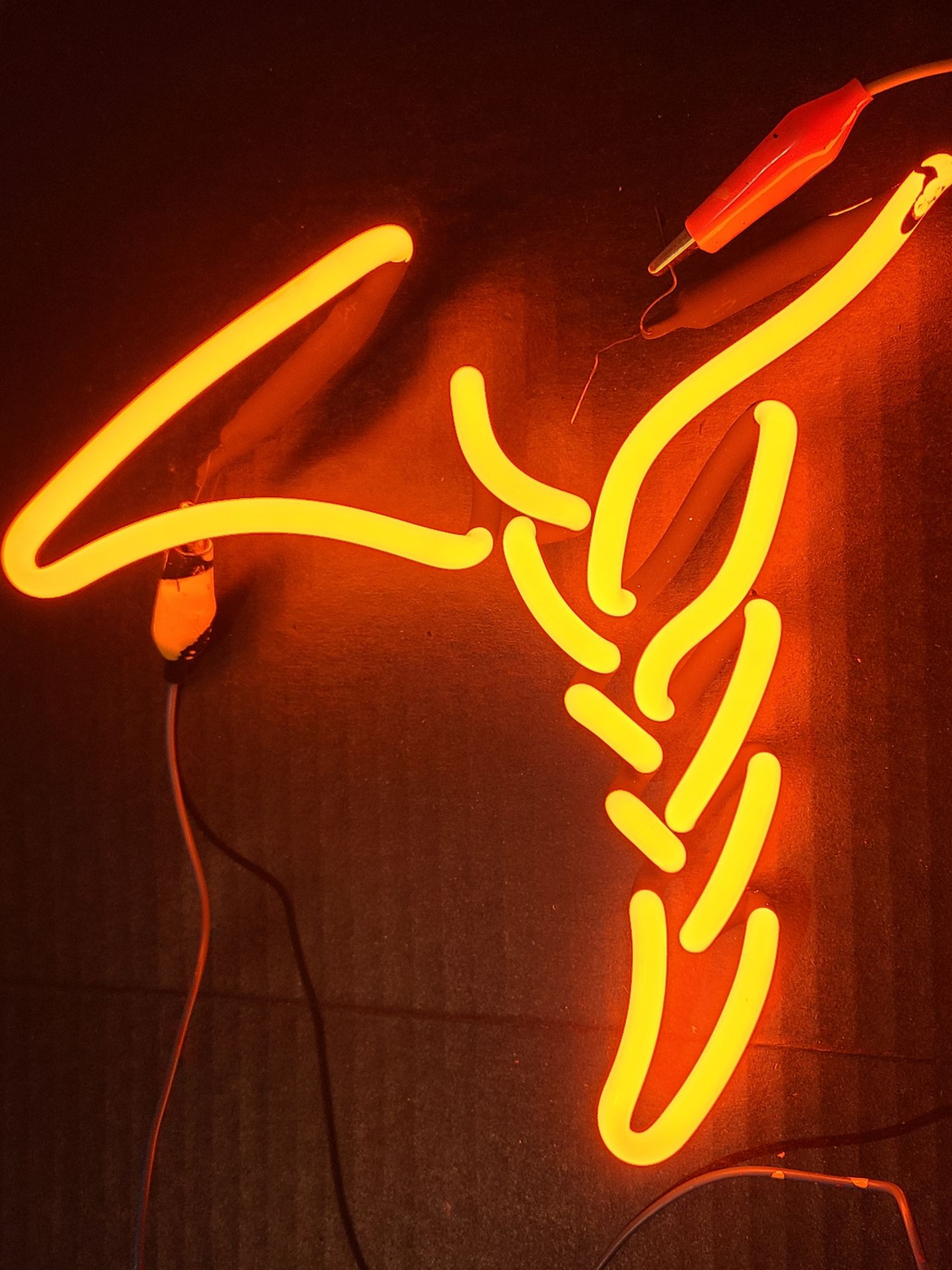 Minnesota Vikings Logo - hair