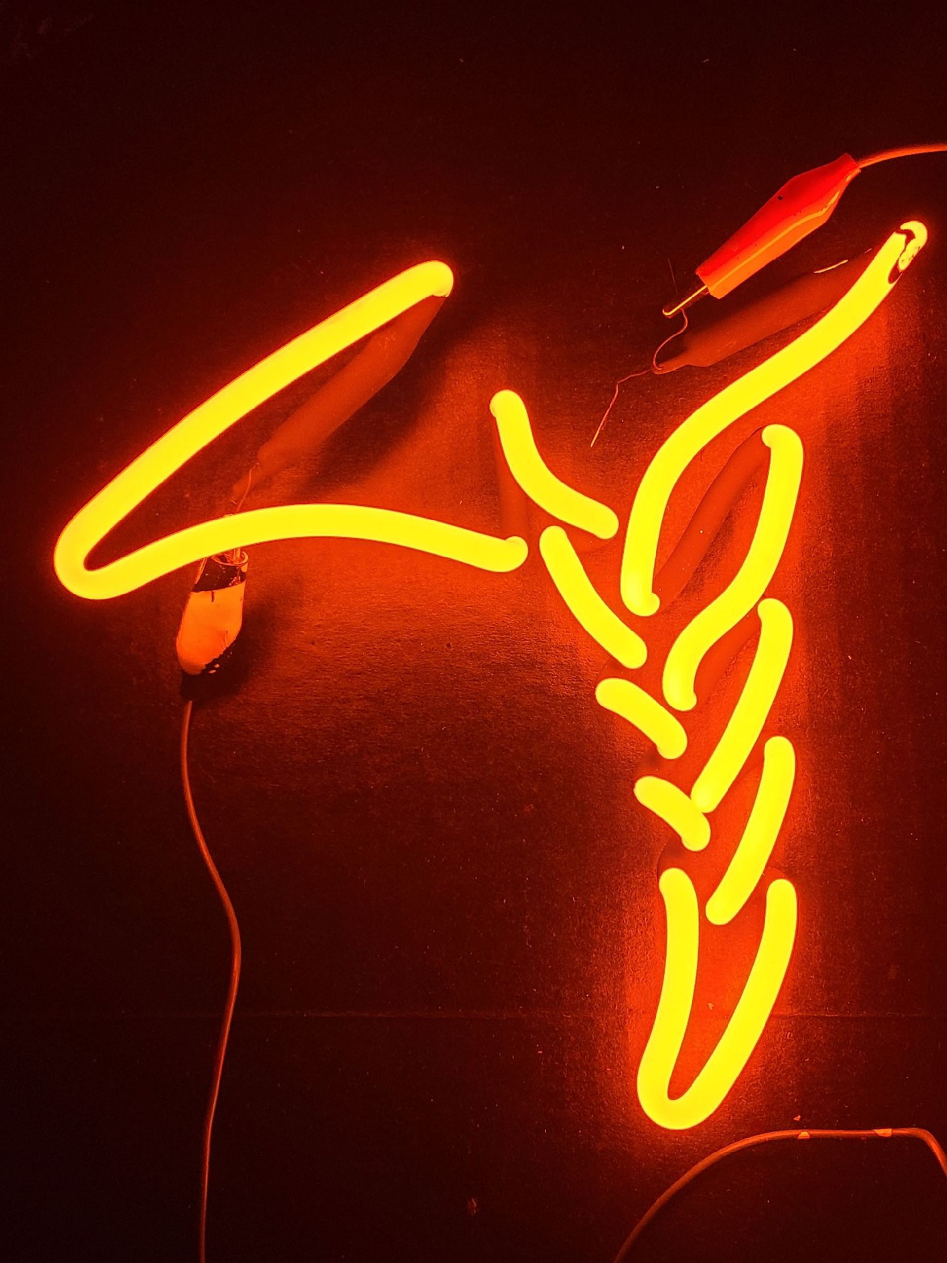 Minnesota Vikings Logo - hair