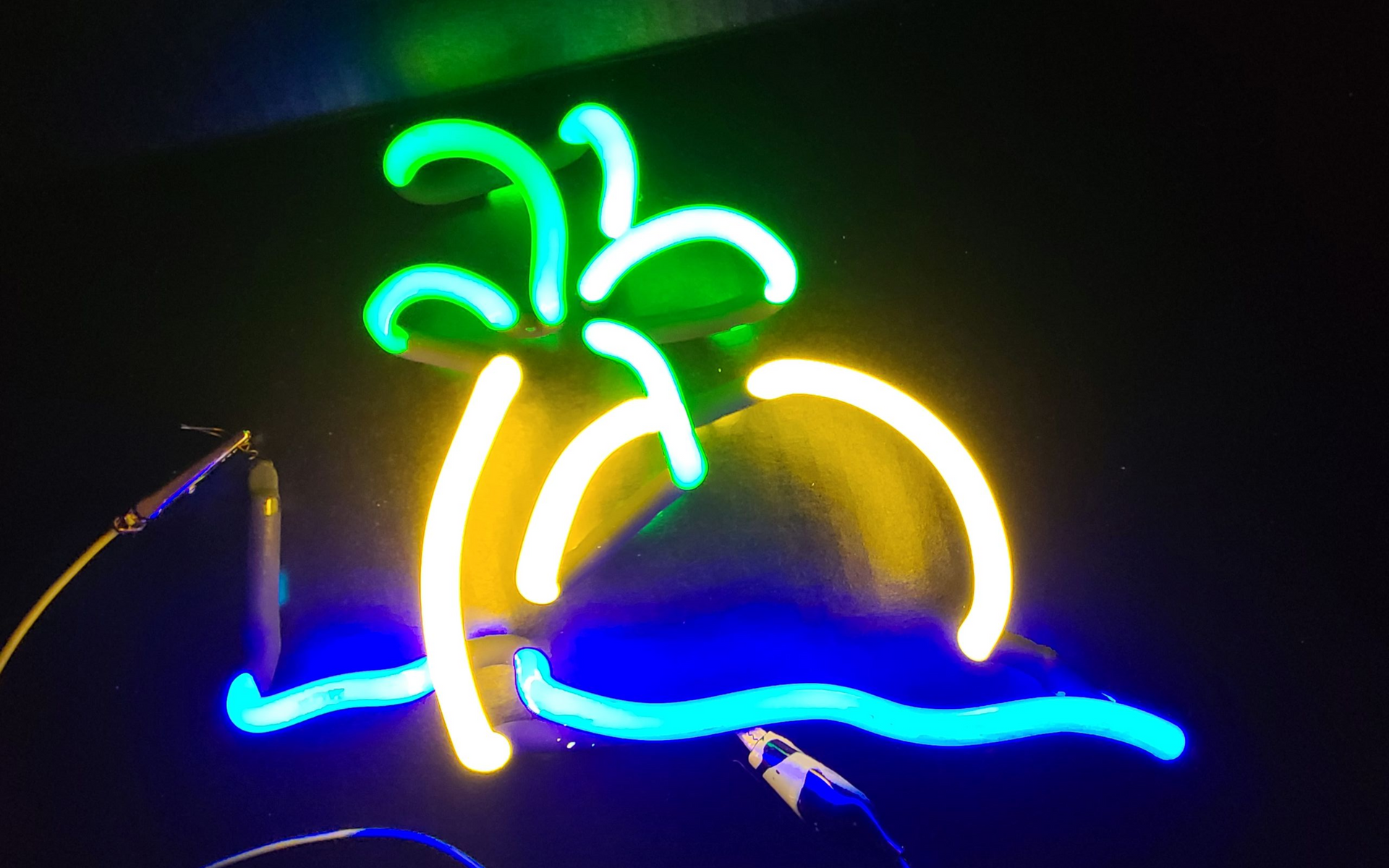 Corona sunset fish scene