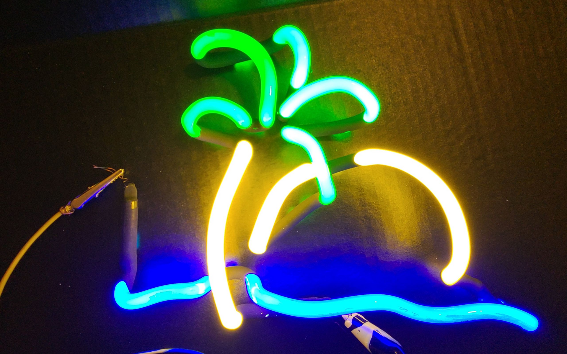 Corona sunset fish scene