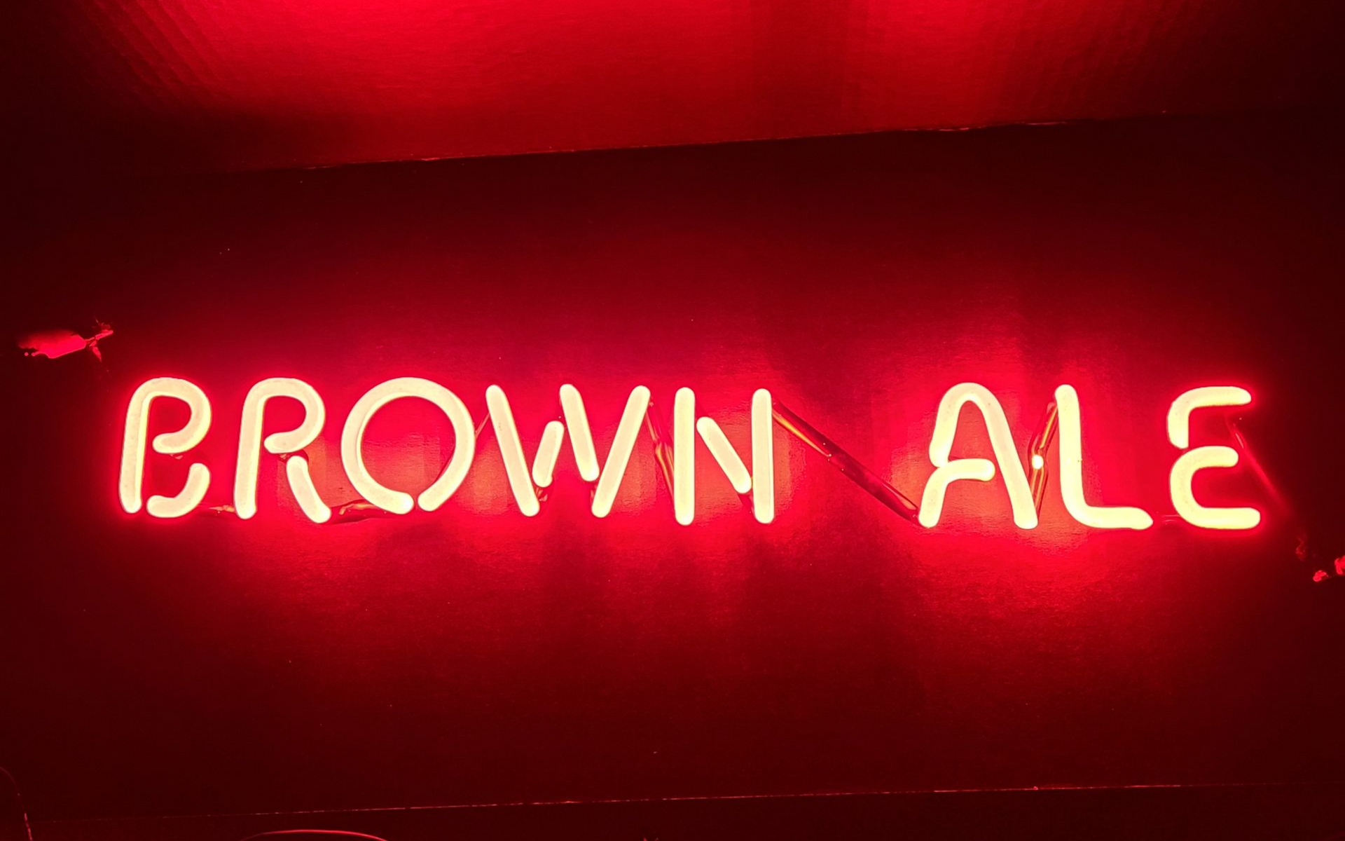 new castle brown ale - brown ale