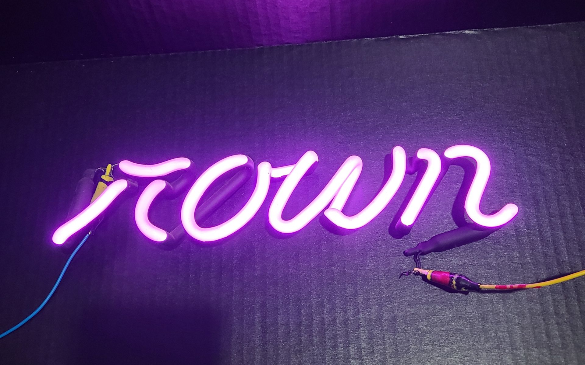 c ROWN Royal -Rown  purple