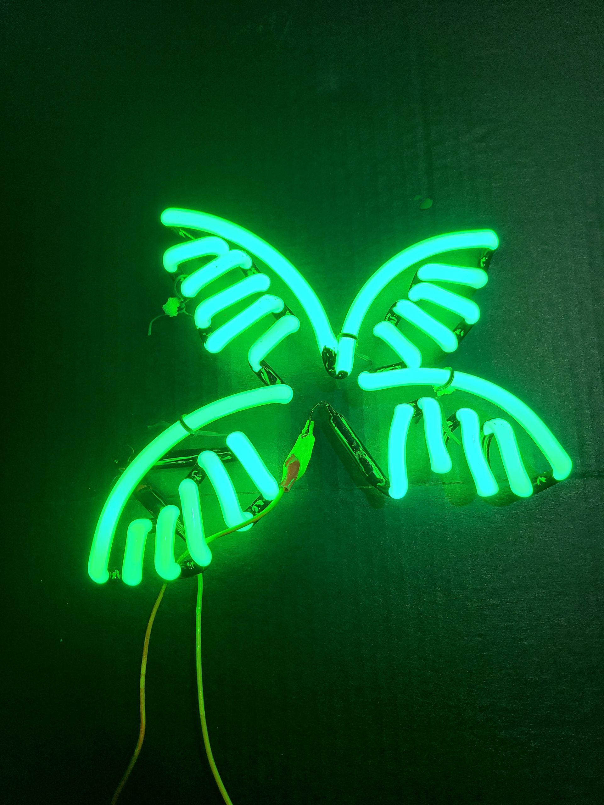 Corona palm tree small