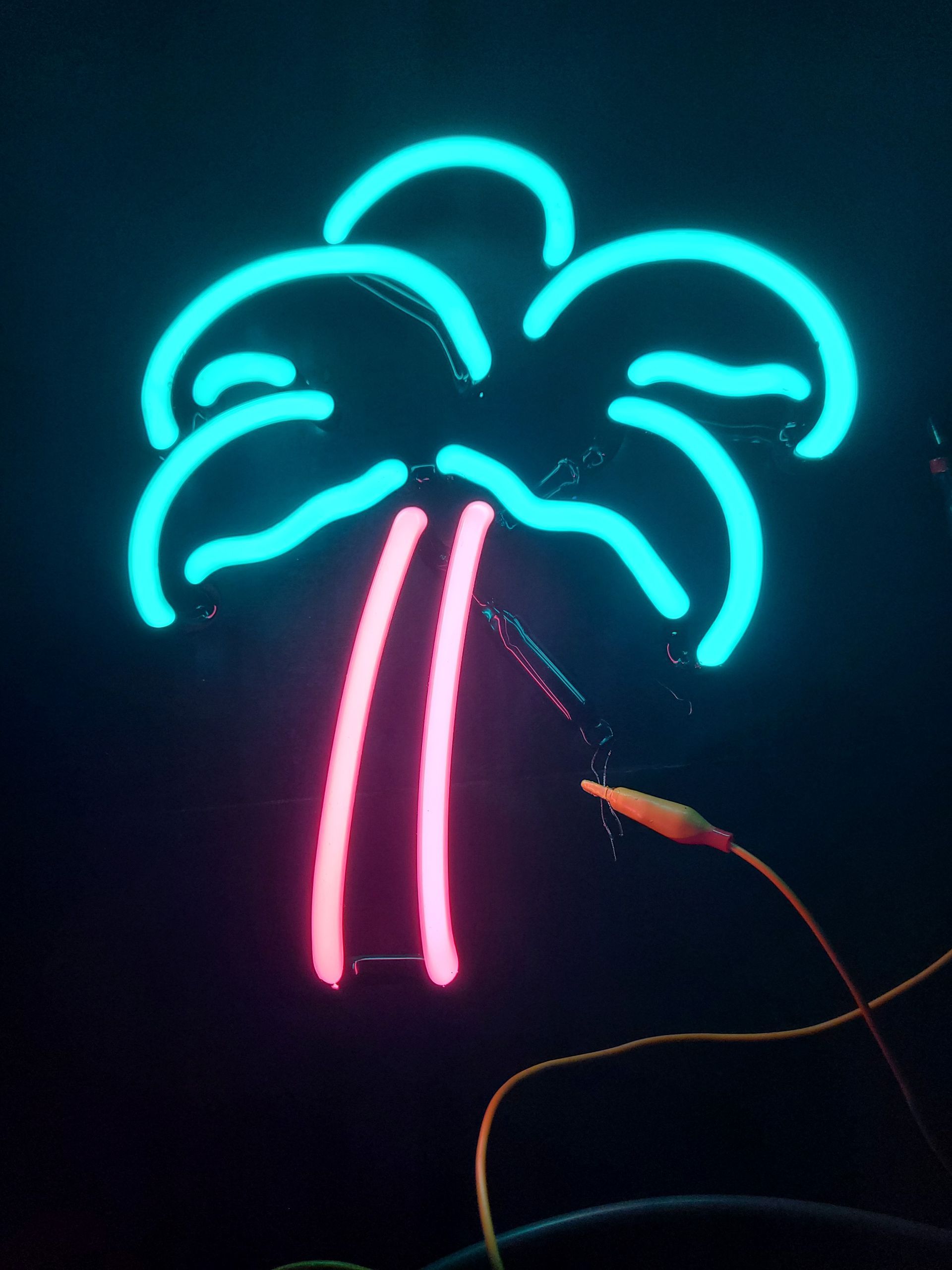 Bud light PARTY BUS Left palm tree