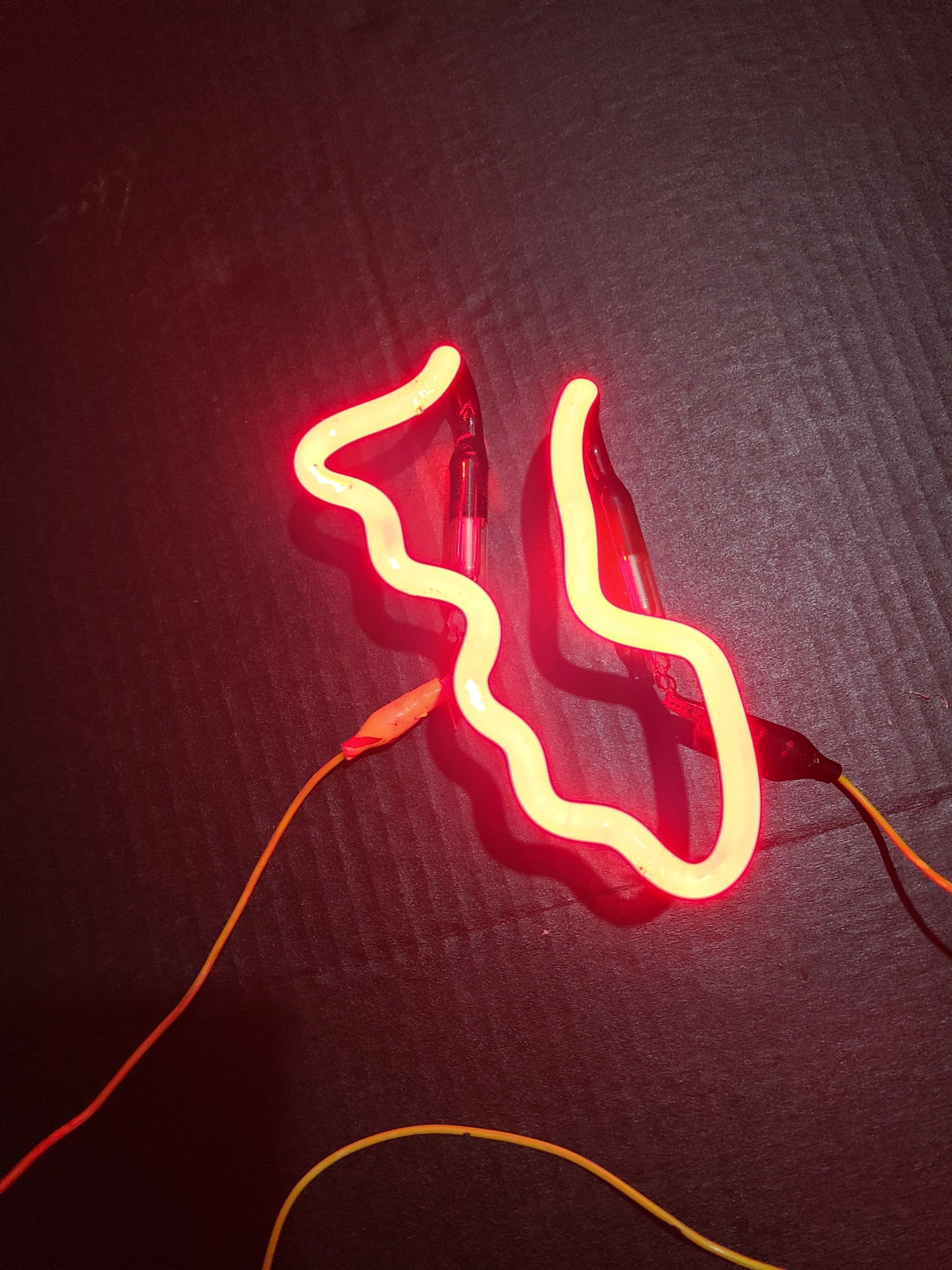 Corona Mexico bottom