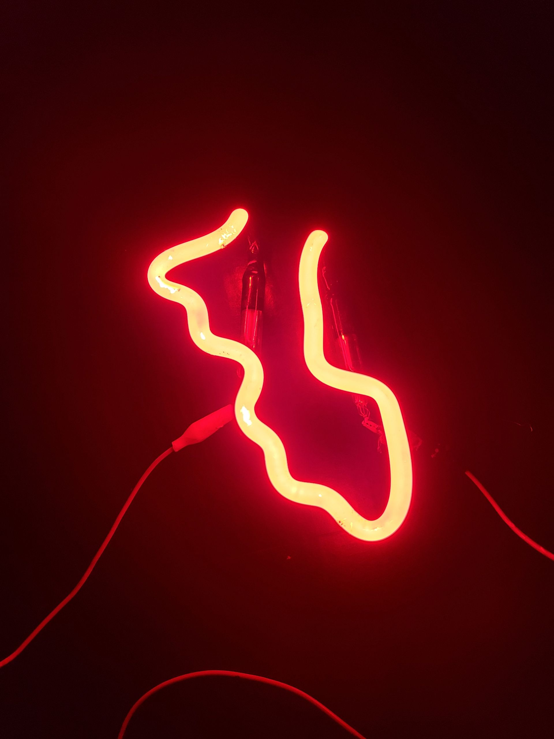 Corona Mexico bottom