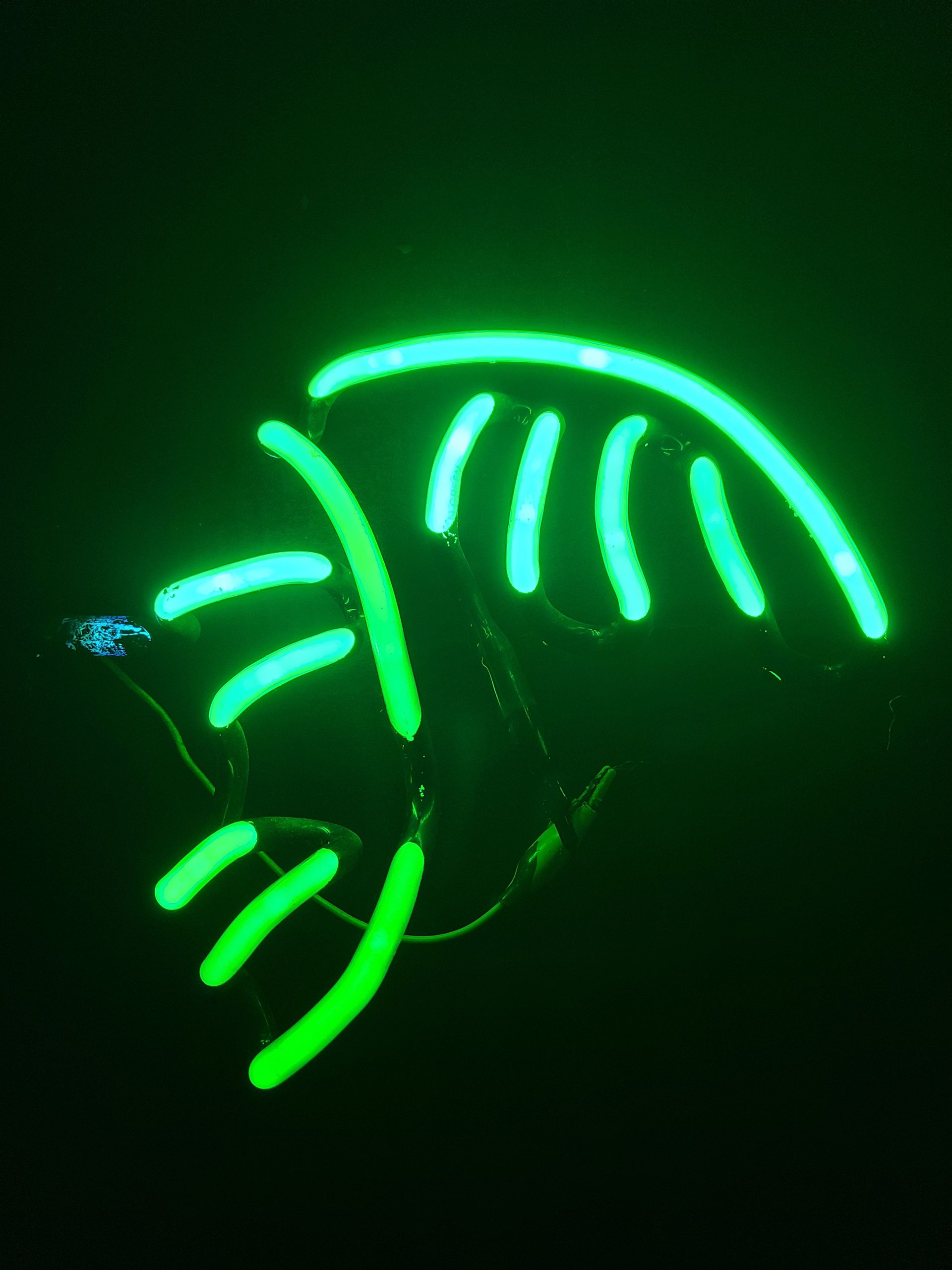 Corona Palm Tree Large