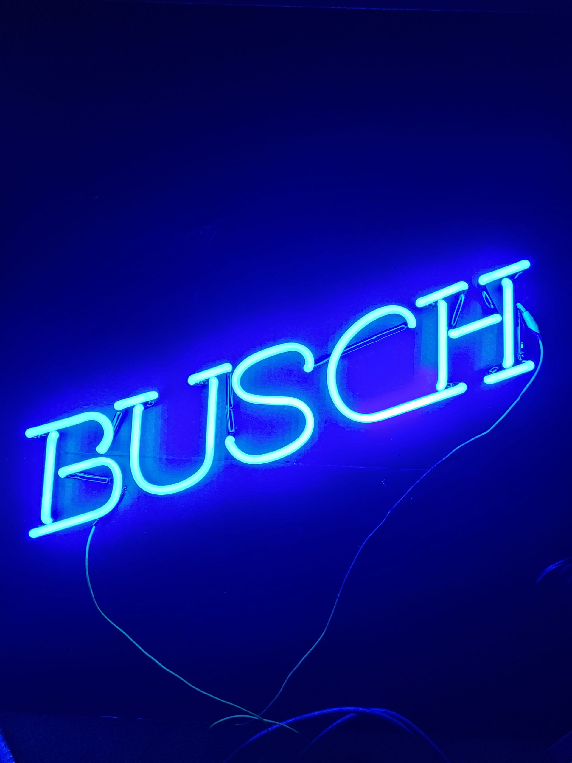 Busch