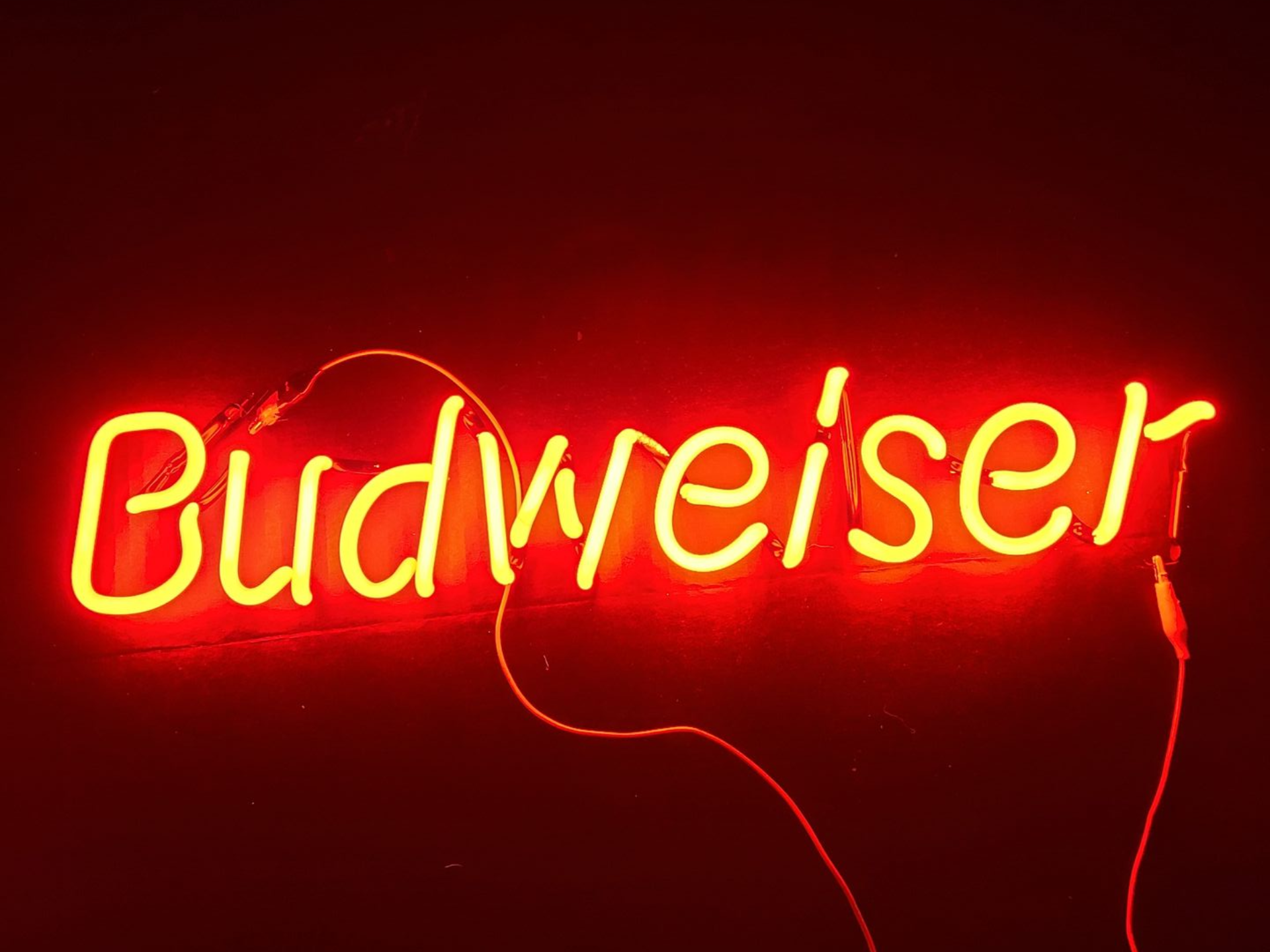Budeweiser red
