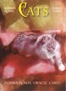 Cats_Inspirational_Cards — New Age Book in South Mackay, QLD