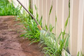 Sprayer nozzle spraying herbicide on weeds growing along a fence.