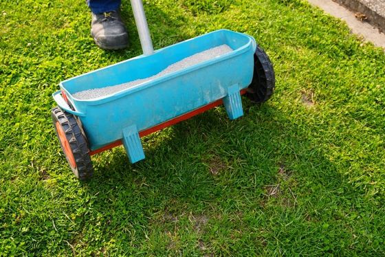 Blue spreader on green grass, person's foot visible, likely distributing fertilizer.
