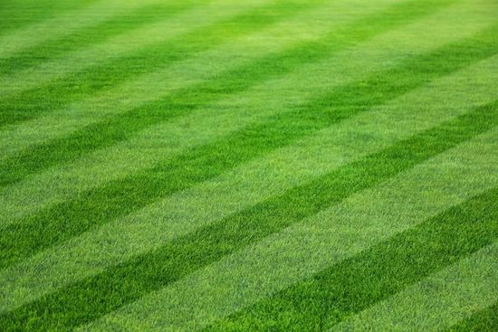 Lawn with diagonal stripes of varying shades of green, likely freshly mowed.