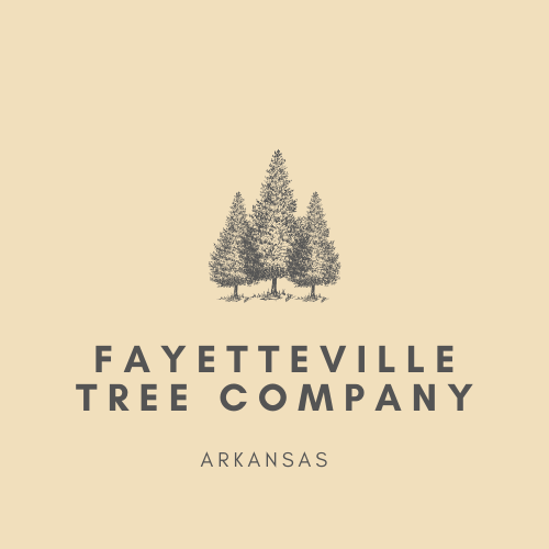 A logo for the fayetteville tree company in arkansas