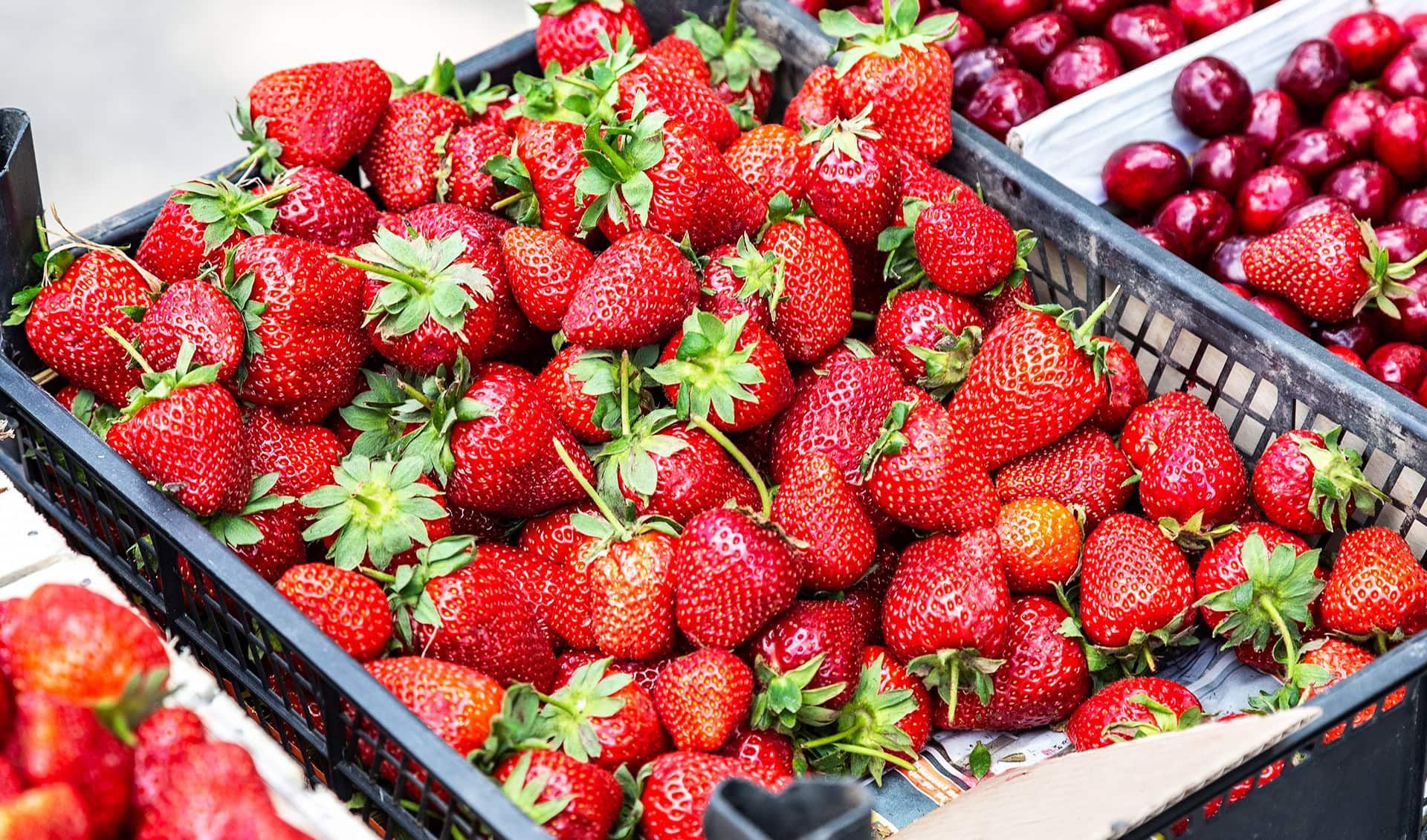 Fresh, juicy strawberries and cherries in crates in a cold food storage environment. The Chorus automatic air sanitizer is designed to protect the fruit.