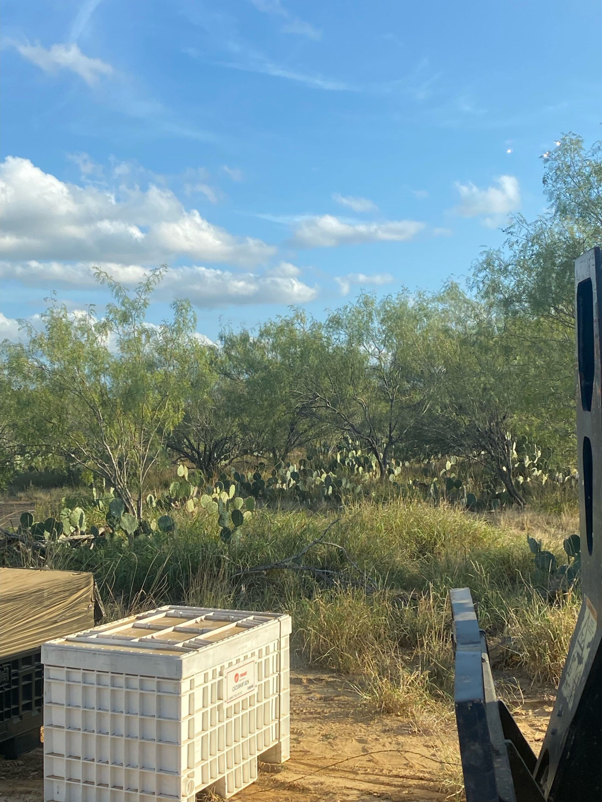 A white crate is sitting in the middle of a field.