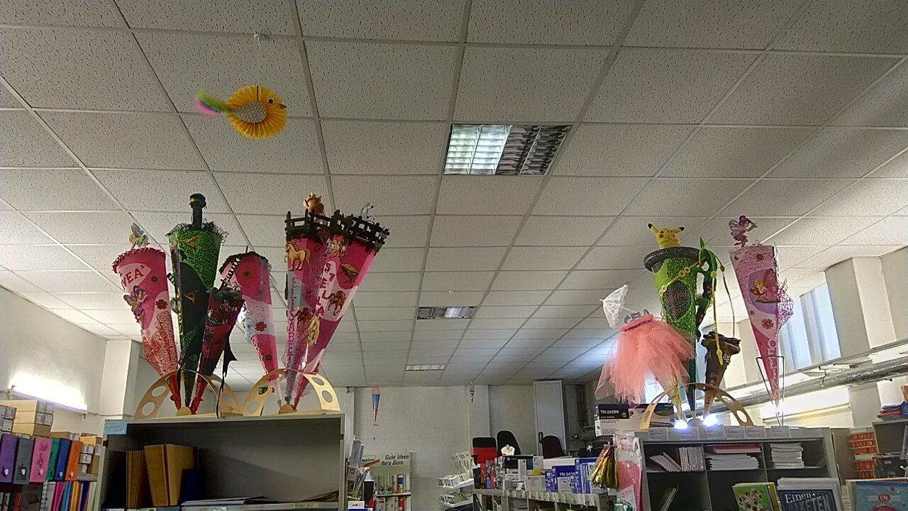 Ein Haufen Zapfen hängt von der Decke eines Ladens.