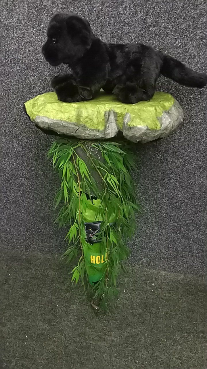 Eine ausgestopfte schwarze Katze sitzt auf einem Felsen.