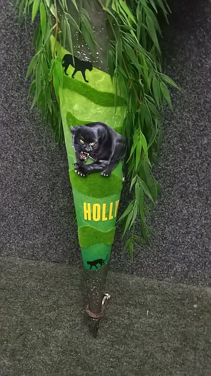 Ein grüner Kegel mit einem schwarzen Panther darauf.