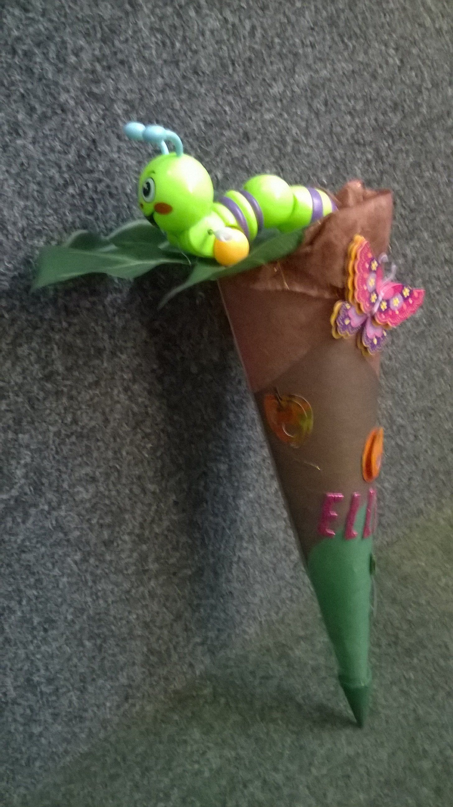 Eine grüne Raupe sitzt auf einem braunen Zapfen.