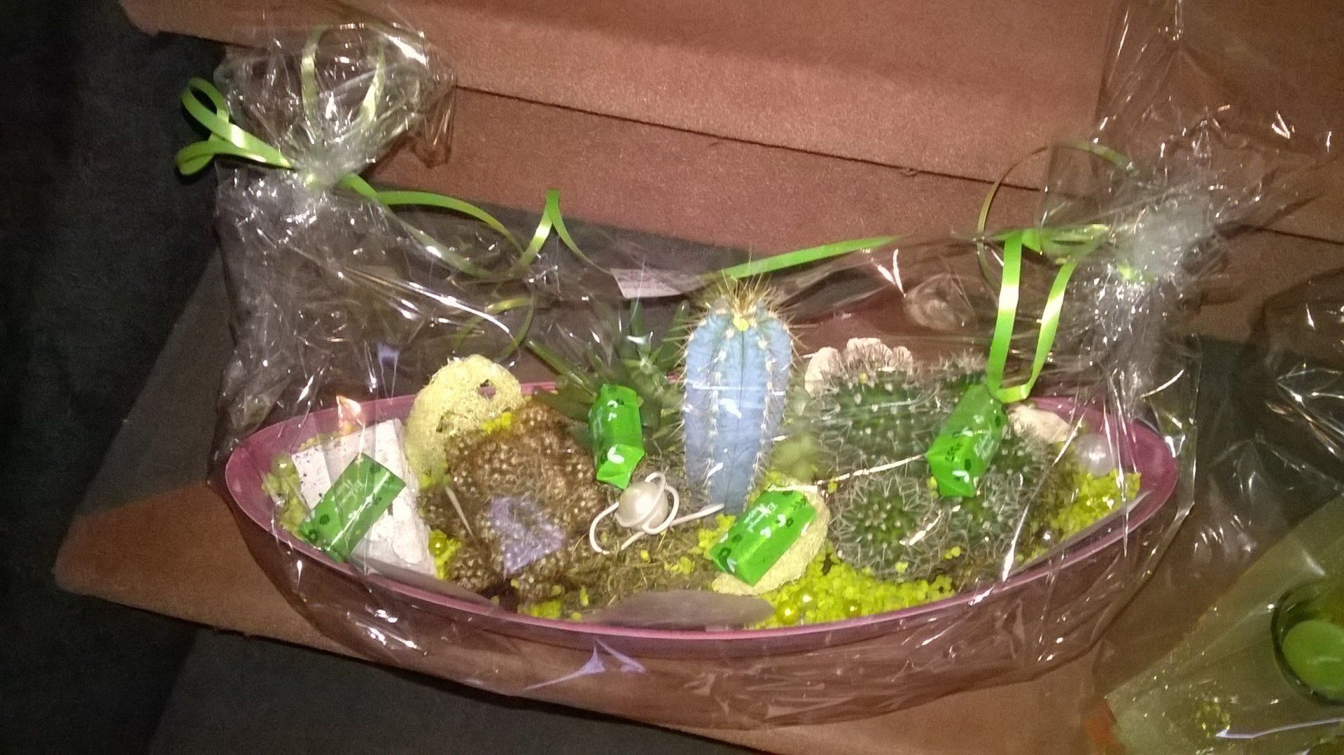 Eine Person hält einen Plastikbehälter voller Pflanzen.