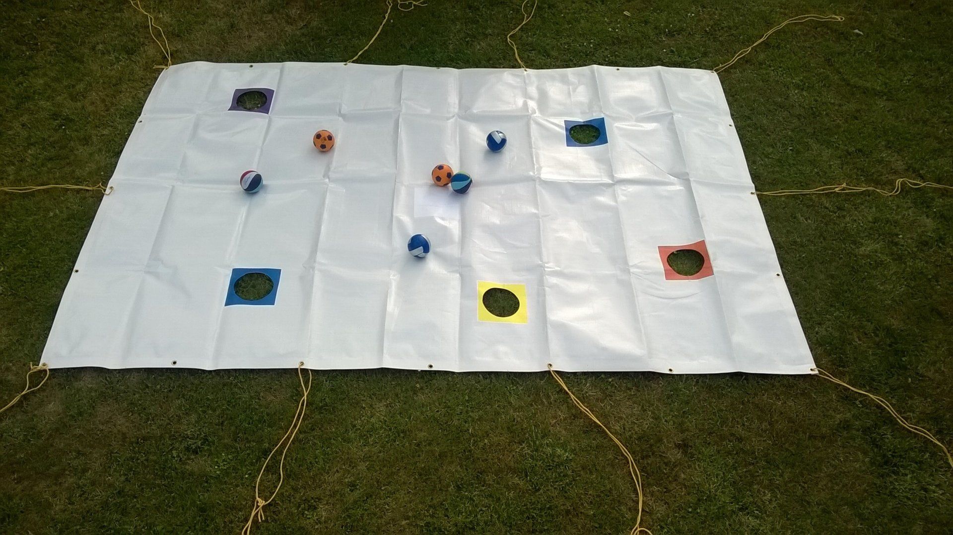 Ein großes Stück Papier mit Bällen darauf liegt im Gras.