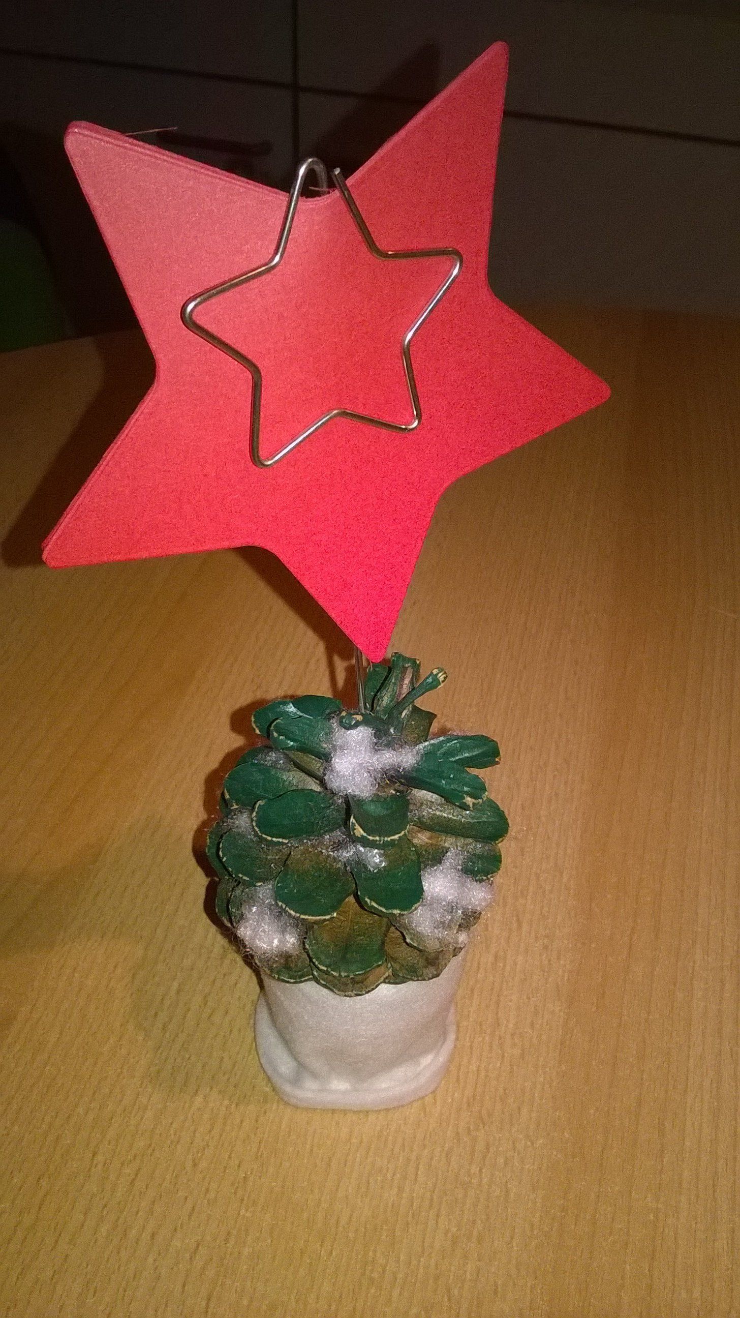 Eine kleine Topfpflanze mit einem roten Stern darauf.