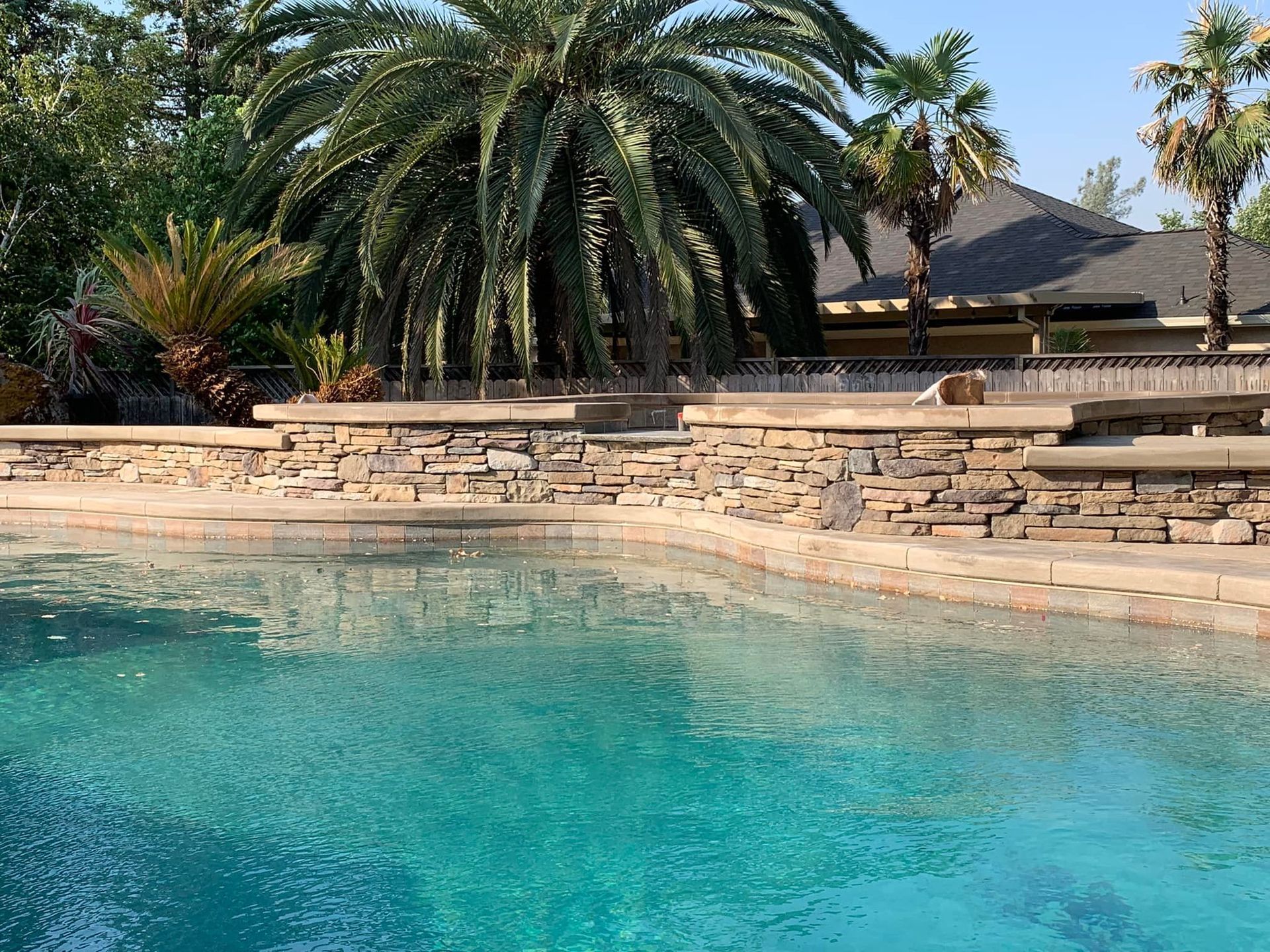A Large Swimming Pool Surrounded by Palm Trees and A Stone Wall | Redding, CA | Chase Design Landscape
