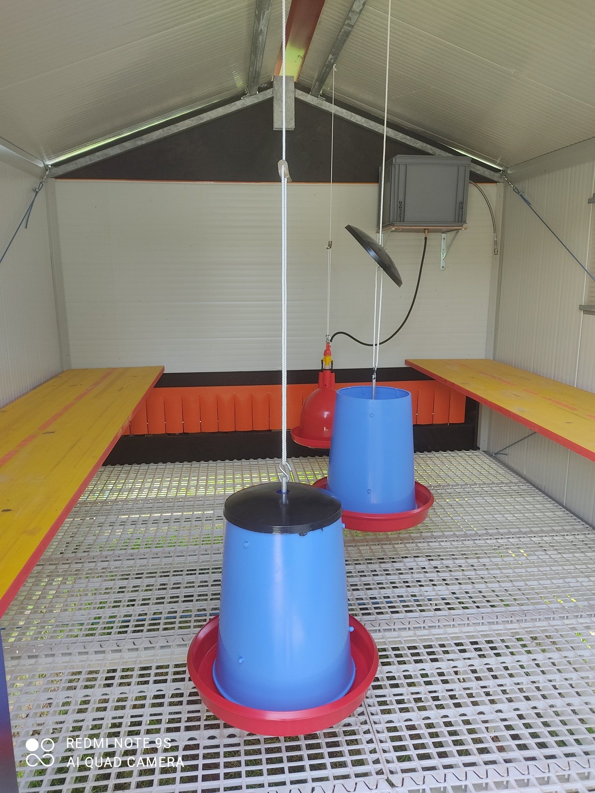 Interni pollaio professionale