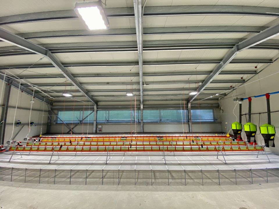 Nidi industriali per galline