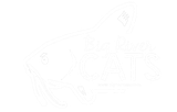 Big River Cats logo