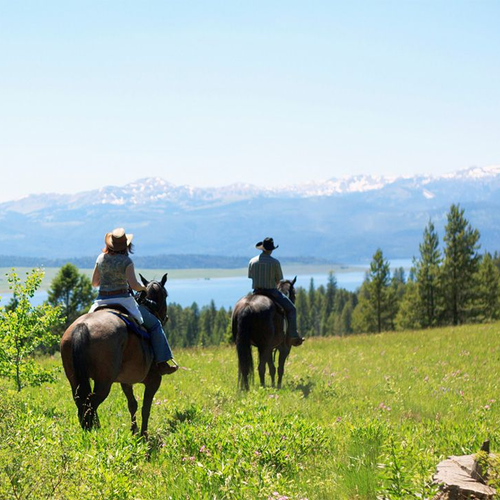 Horseback -PRR