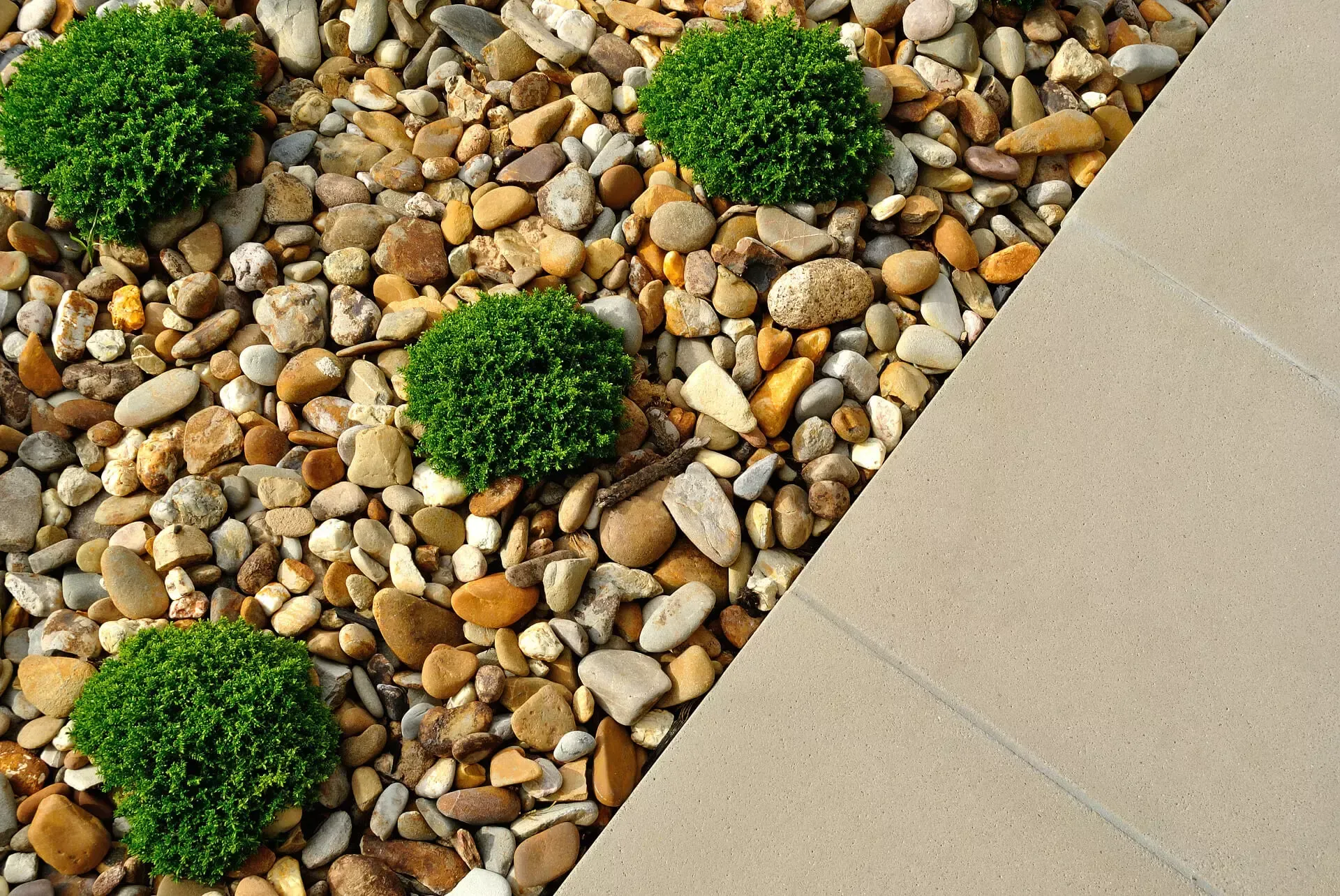 Greensboro Landscaping photo 1 in Greensboro