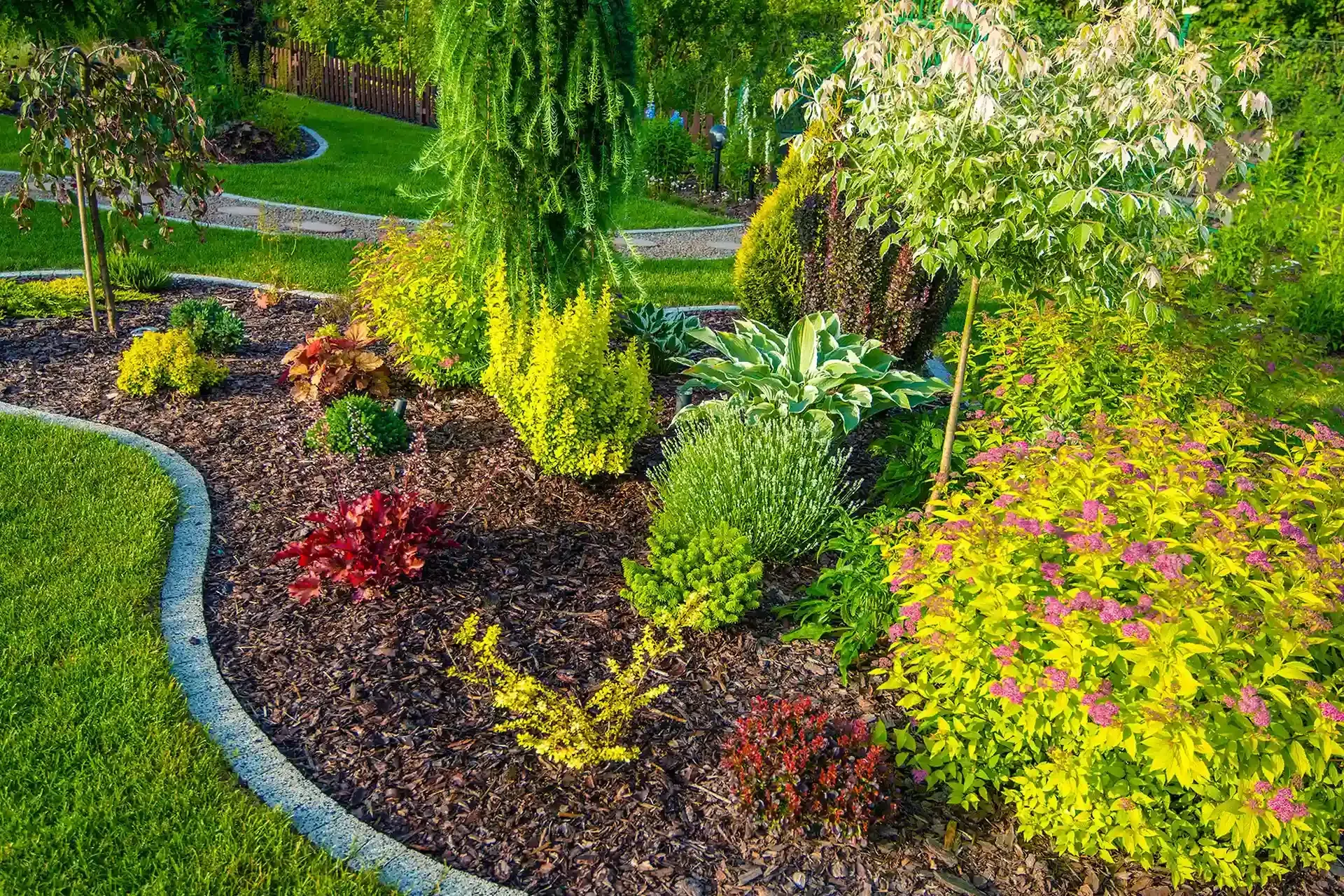 Landscape Design & Installation