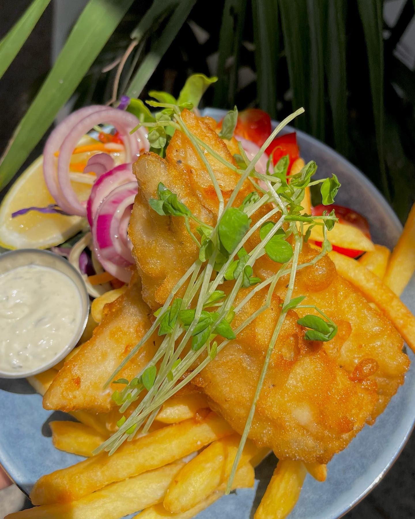 A Close Up of a Plate of Fish and Chips With Vegetables and Sauce — The Pass Cafe in Byron Bay, NSW