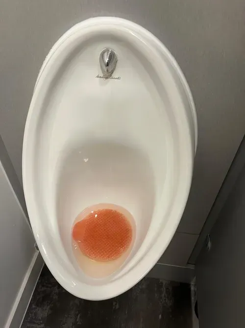 blocked toilet farnborough