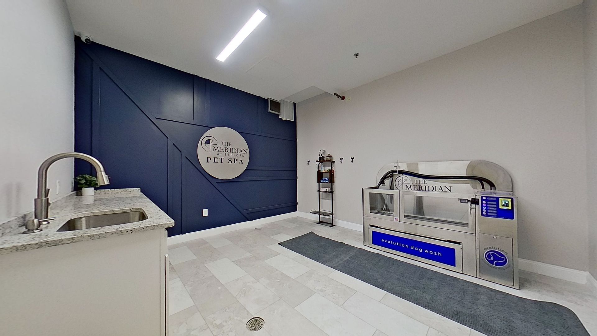 Dog wash room: blue accent wall, sink, stainless steel dog wash station, and light-colored flooring.