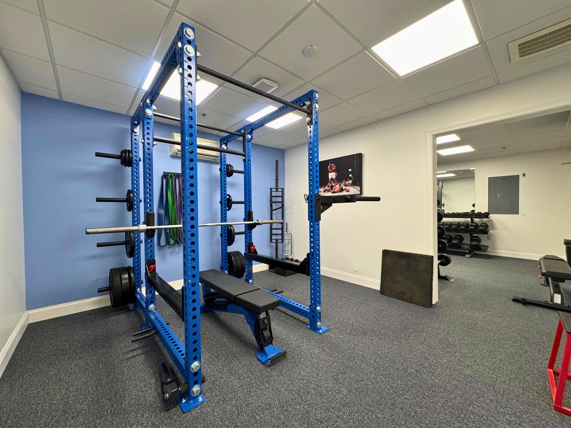 Blue weightlifting rack with weights, bench, and equipment in a gym.