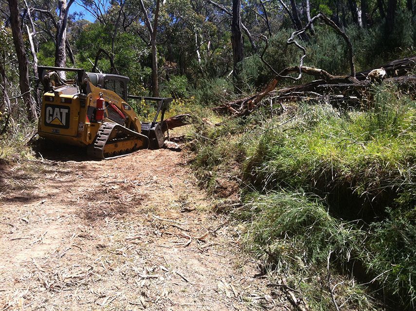 A cat bulldozer is driving down a dirt road in the woods.